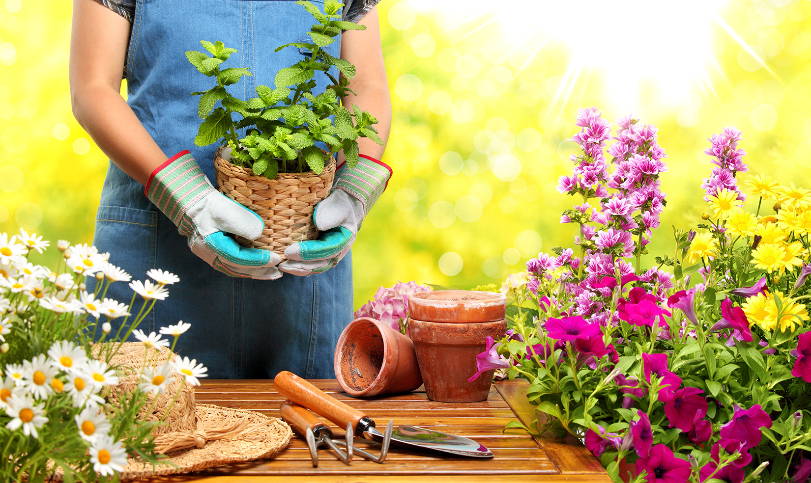 Make Your Yard Attractive with Regular Garden Maintenance