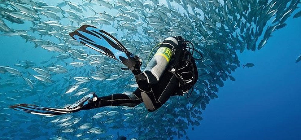 Instructions to Plan For a New Adventure in Scuba Diving