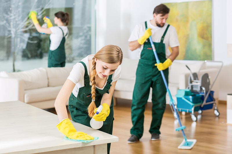 The Various Perks Associated With Taking Domestic Cleaning Services