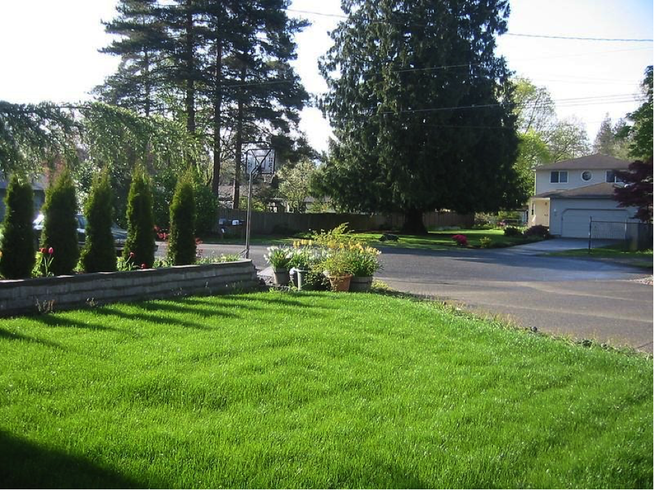 Why Use Sod, Grass and Lawn Installation Services