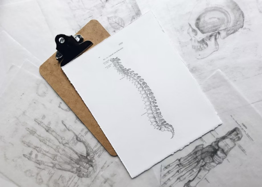 Spinal Curvature – Everything You Need To Know